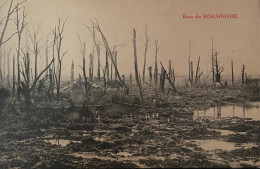 Boezinge  Het Bos Van Boezinge Kort Na De Eerste Wereldoorlog - Ieper