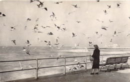 BELGIQUE - BRUGGE - Un Séjour à La Côte Belge En Hiver Donne Joie Santé Et Repos - Carte Postale Ancienne - Brugge