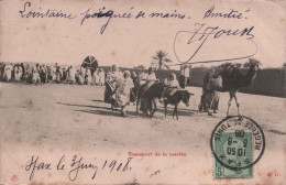 TUNISIE - Transport De La Mariée - Chameau Et Anes - Cachet Regence De Tunis 1908 - Carte Postale Ancienne - Tunisie