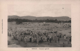 MAROC - Sefrou - Concours Agricole - Animé - Carte Postale Ancienne - Altri & Non Classificati