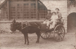 Photographie - Famille Installée Dans Une Charette A Ane - Carte Postale Ancienne - Fotografia