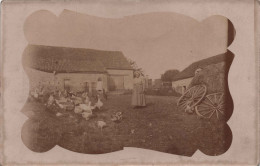 Photographie - Photo D'une Ferme Avec Des Oies Et Volailles - Animé - Agriculture - Carte Postale Ancienne - Photographs