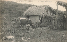 Auvergne Pittoresque * Paysage De Montagne * Traite De La Vache * Agriculture Paysan Agricole - Sonstige & Ohne Zuordnung