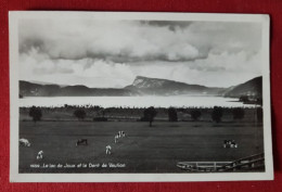 Carte -  Le Lac De Joux Et La Dent De Vaulion - Vaulion