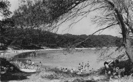 Porquerolles - La Plage D'Argent    -  CPSM °J - Porquerolles