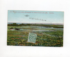 !!! 5C TYPE BLANC DU LEVANT SUR CPA CACHET DE JAFFA - PALESTINE DE 1910 - Brieven En Documenten