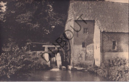 Fotokaart/Carte Photo - Kleine Brogel - Molen  (C4273) - Peer