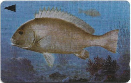 Bahrain - Batelco (GPT) - Fish Of Bahrain - Grey Grunt - 39BAHU (Normal 0, Round Top ''3''), 1996, 500U, Used - Bahrein