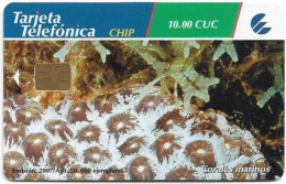 Cuba - Etecsa (Chip) - Corales Marinos, Coral De Ojos, 08.2007, 10$, 50.000ex, Used - Cuba