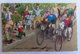 Chats Humanisés, Habillés - Cycliste, Cyclisme - Photographe, Appareil Photo Un Nouveau Truc Pour Gagner Les Courses - Animaux Habillés