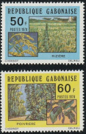THEMATIC  AGRICULTURE  - GABON - Agriculture