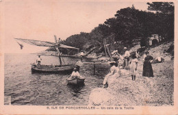 Porquerolles - Un Coin De La Treille -  CPA °J - Porquerolles