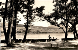 Paradis-Plage Colombier * 26. 7. 1963 (a) - Colombier