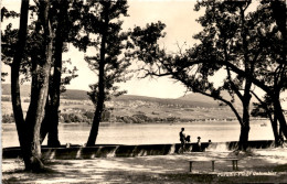 Paradis-Plage Colombier * 26. 7. 1963 (b) - Colombier