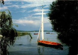 Gelände "Die Neue Zeit" Am Neuenburgersee - Thielle (321) * 26. 7. 1980 - Thielle