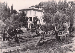 La Garde - Domaine De Massacan - Colonie Ville Grenoble  - CPSM °J - La Garde