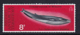 British Antarctic Territory: 1977   Whale Conservation   SG80   8p   MH  - Ongebruikt