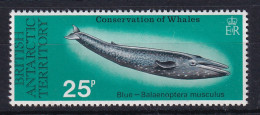 British Antarctic Territory: 1977   Whale Conservation   SG82   25p   MH  - Ongebruikt