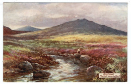 DARTMOOR - The Lyd, Near Lydford - G.H. Jenkins - Tuck Oilette 7633 - Dartmoor