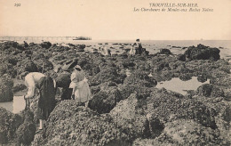 Trouville Sur Mer * Les Chercheurs De Moules Aux Roches Noires * Pêche à Pied - Trouville