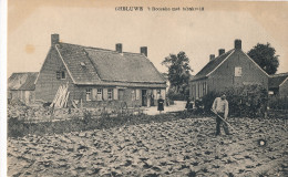 GELUWE  'T ROOZEKE MET TABAKVELD     2 SCANS - Wervik