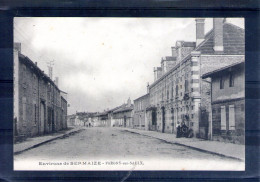 51. Environs De Sermaize. Pargny Sur Saulx - Pargny Sur Saulx