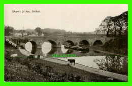 BELFAST, IRLANDE DU NORD - SHAW'S BRIDGE - ANIMATED BOAT & COWS  - VALENTINE'S SERIES, DUBLIN - - Belfast