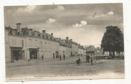 JC, Cp, 86, PLEUMARTIN, Place De L'hôtel De Ville , Vue Générale, écrite - Pleumartin