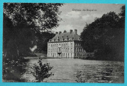 * Antoing (Hainaut - La Wallonie) * (Phono Photo Tournai) Chateau De Bruyelles, Kasteel, Schloss, Castle, étang, TOP - Antoing