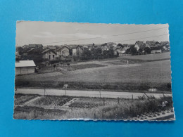 95) Survilliers-fosses - N°12.707 - (carte Photo) - Vue Générale Du Lotissement De La Gare - Année: 1956 - EDIT: A.P - Survilliers