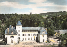 Vitrac * Vue Aérienne Sur Le Château De Fargues - Sonstige & Ohne Zuordnung