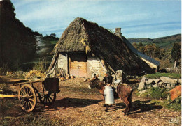 Agriculture * Laitière âne , Vieux Buron Au Toit De Chaume * Attelage * Lait - Autres & Non Classés