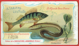 Image Publicitaire - Chocolat D'Aiguebelle - Le Monde Sous-marin - A Travers Les Flots - Perche & Anguille - Aiguebelle
