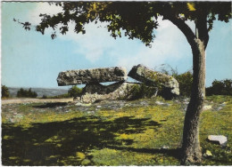 VAOUR   LE DOLMEN  ANNEE 1972 - Vaour