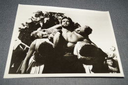 RARE,Steve Reeves, Grande Photo Originale Pour Le Cinéma,25,5 Cm. Sur 20,5 Cm. - Foto's