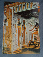 TOMB OF QUEEN NEFERTARI - Musei