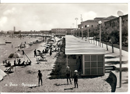 Marche FANO Spiaggia  FG V 1954 - Fano