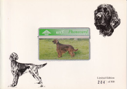 FOLDER CON 1 TARJETA DE BT DE UN PERRO IRISH SETTER DE TIRADA 500 (CAN-DOG) (NUEVAS-MINT) - Honden