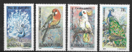 Romania 1999 MiNr. 5405 - 08 Rumänien Birds Scarlet Macaw, Indian Peafowl, Sulphur-crested Cockatoo 4v MNH** 3,00 € - Perroquets & Tropicaux