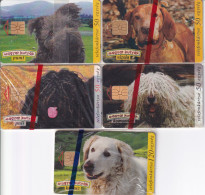 FOLDER CON 5 TARJETAS DE HUNGRIA DE PERROS (PERRO-CAN-DOG) NUEVAS-MINT - Ungarn