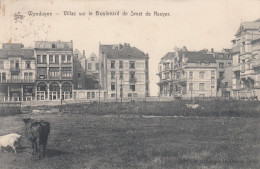 Wenduyne - Villas Sur Le Boulevard De Smet De Naeyer - Wenduine