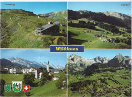 SWITZERLAND,WILDHAUS RESORT ,MOUNTAINS,CHALETS - Wil