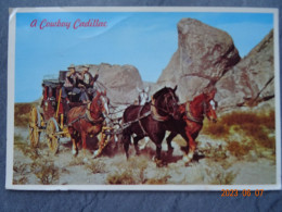 A  COWBOY CADILLAC - Phoenix