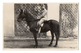 CPA 3381 - MILITARIA - Carte Photo Militaire - Cavalerie - Cavalier Sur Un Cheval - Characters