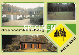 Drieboomkensberg - Malle West - Malle