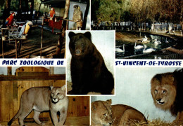 40 PARC ZOOLOGIQUE DE SAINT VINCENT DE TYROSSE NATIONALE 10 PERROQUETS CYGNES OURS PUMA LIONS - Saint Vincent De Tyrosse