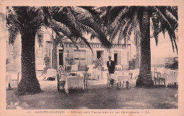 Sainte Maxime - Hotel Palmiers Et Place Du Commerce  - CPA °J - Sainte-Maxime
