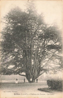 Authon * Le Château Du Fresne * Le Cèdre * Arbre Tree - Andere & Zonder Classificatie