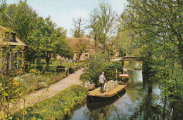 GIETHOORN . PAYS BAS . MELKVERVOER - Giethoorn