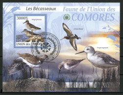 AR2-21 Comores Bloc N° 211 Oblitéré Les Bécasseaux Oiseaux à 10 % De La Cote   A Saisir !!! - Comores (1975-...)